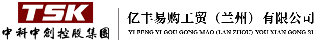 億豐易購(gòu)工貿(mào)（蘭州）有限公司